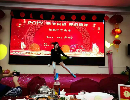 領航集團2017年年會以及表彰大會