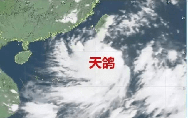 “天鴿”來臨,因安裝低質報警器損失10萬