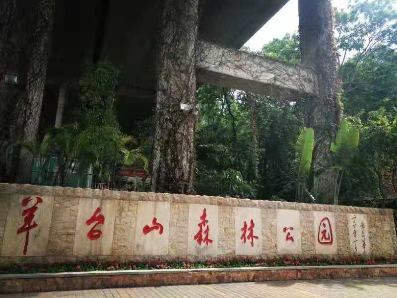 領航集團年深圳羊臺山之行